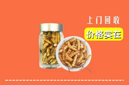 收购资讯:漳州市华安回收散虫草