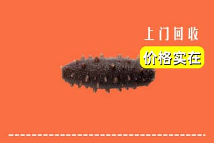 收购资讯:漳州市华安回收海参