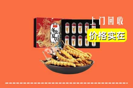 漳州市华安回收虫草