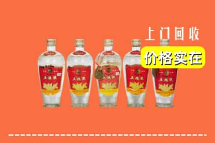 漳州市华安回收老五粮液